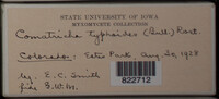 Image Associated With the Occurence